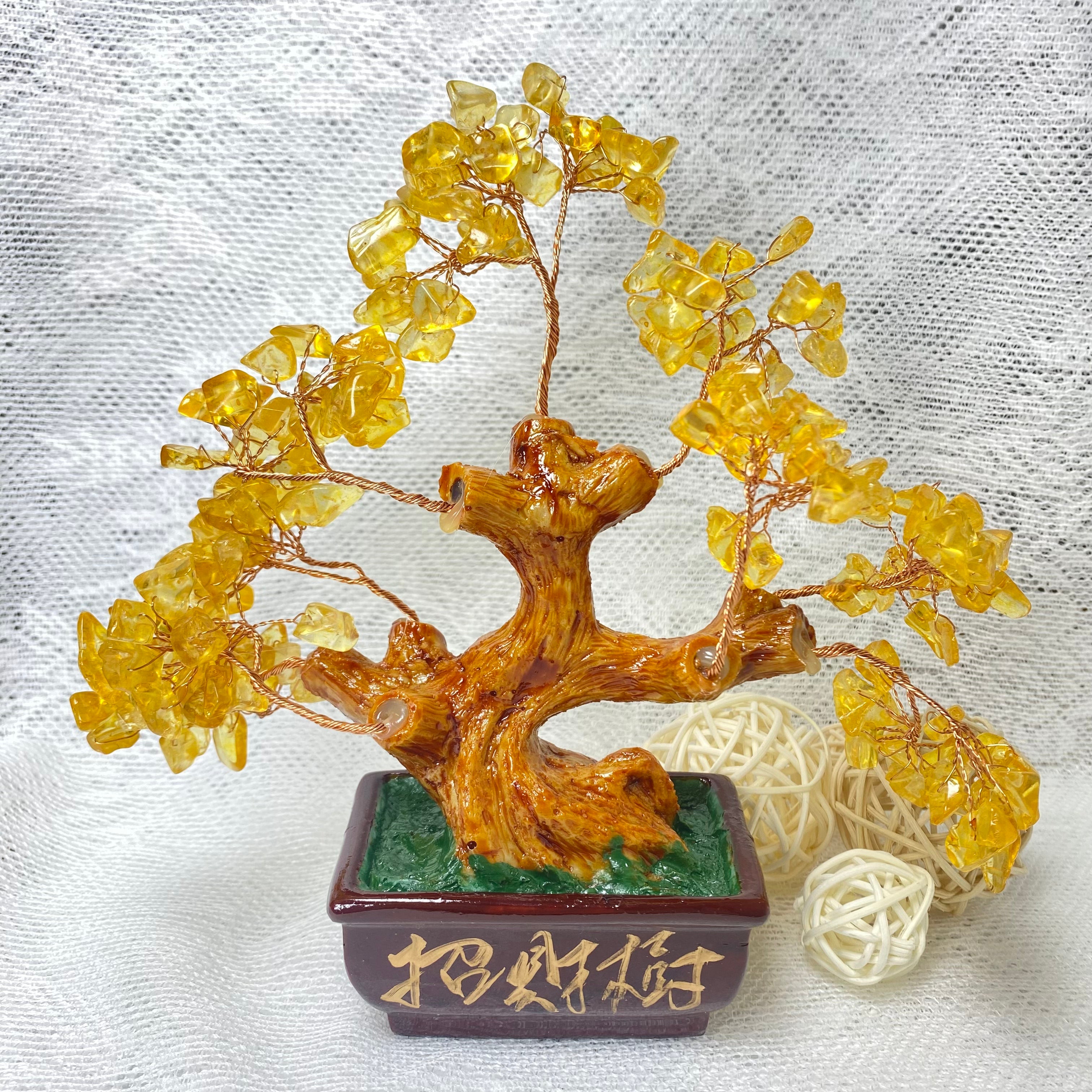 Golden Glow Fortune Tree